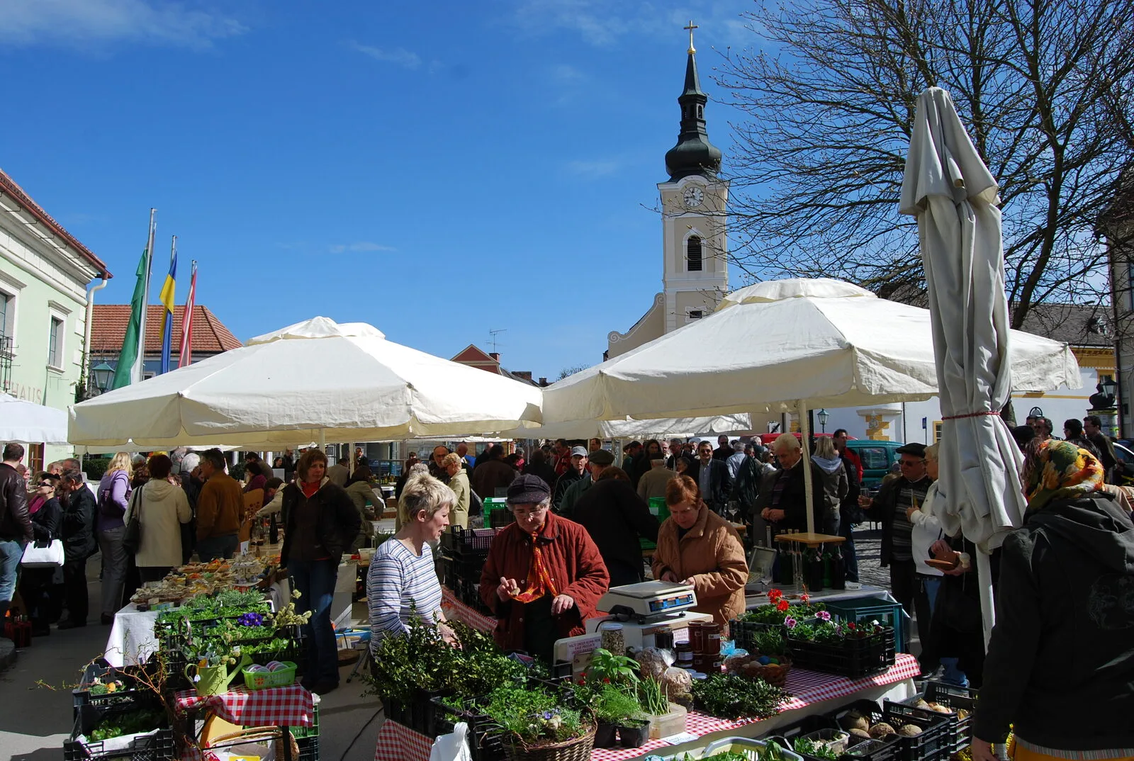 Samstags-Viktualienmarkt Gars